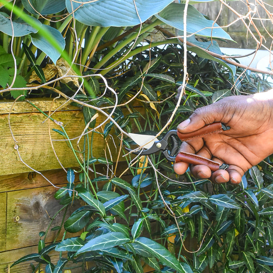 Handy Pruner for Small Hands