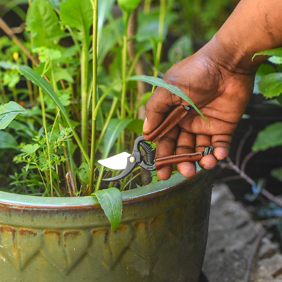 Handy Pruner for Small Hands