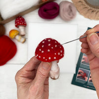 Toadstools Needle Felting Kit