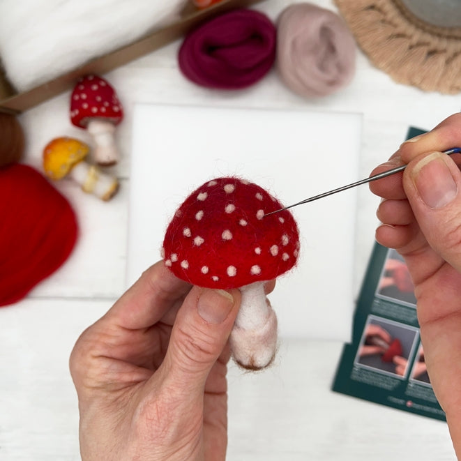 Toadstools Needle Felting Kit