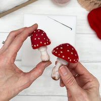 Toadstools Needle Felting Kit