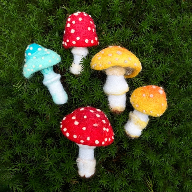 Toadstools Needle Felting Kit