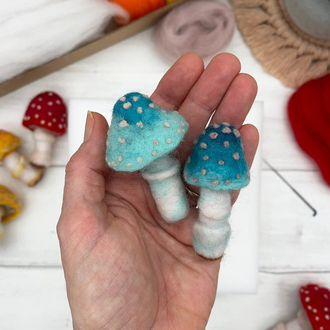 Toadstools Needle Felting Kit