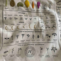 Plant Foraging Tote Embroidery Kit